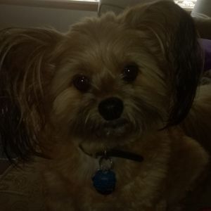 EVERYTHING IN MY CLOSET IS BUY ONE GET ONE 1/2 OFF